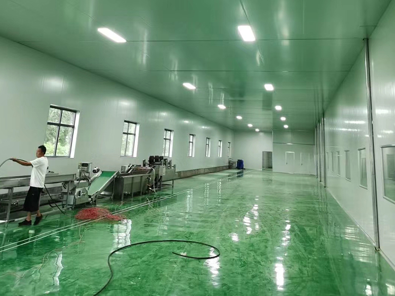 水產品加工流水線